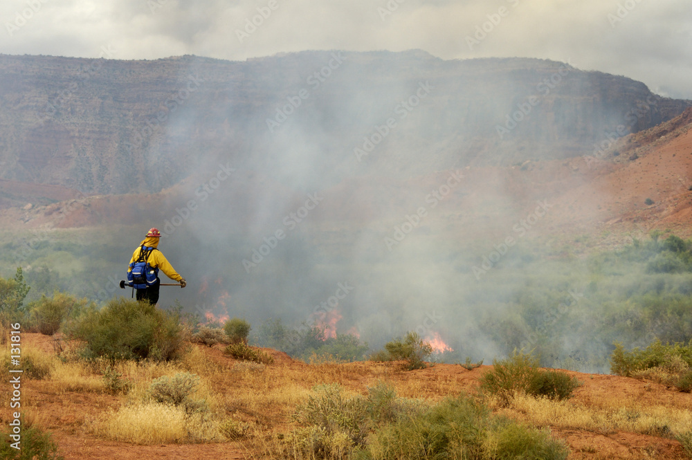 Fotografía prescribed burn