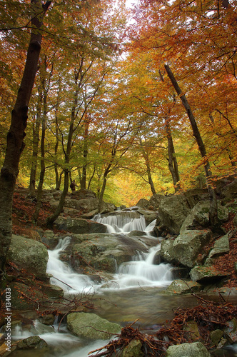 colores de otoño photo