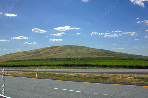 countryside farming fields on a hill