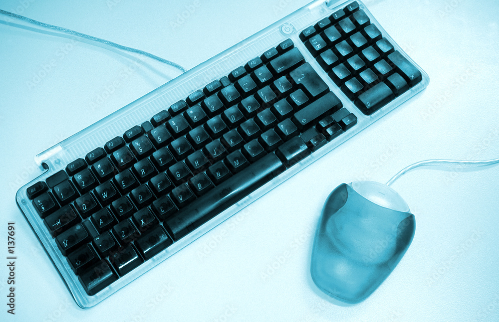 Obraz keyboard and mouse. fototapeta, plakat