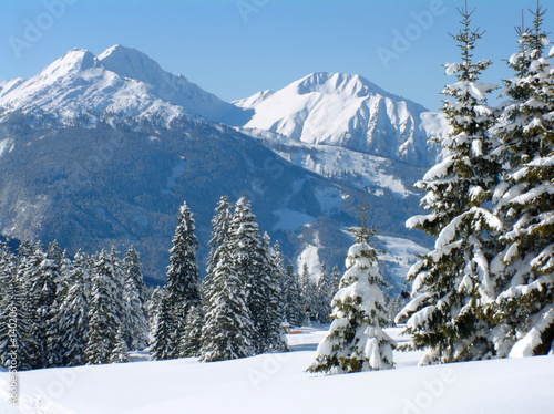 alpine snow scene