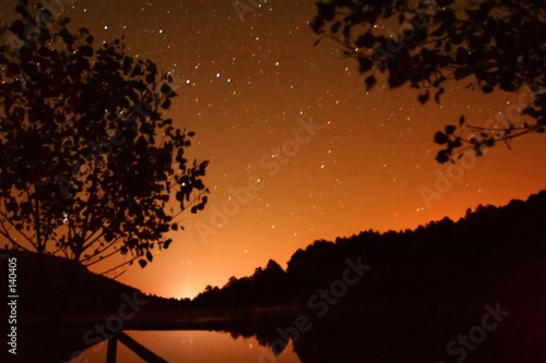 nocturna sobre pantano