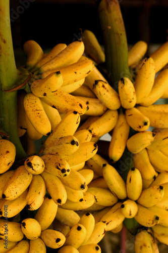 bananen