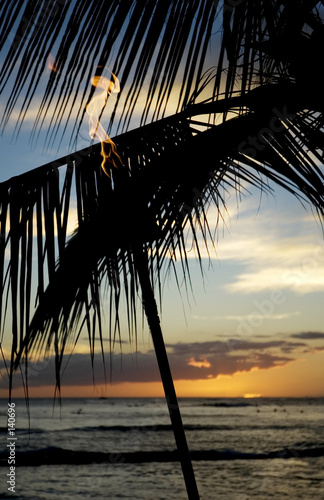 tiki torch and palm tree at sunset © cameraman