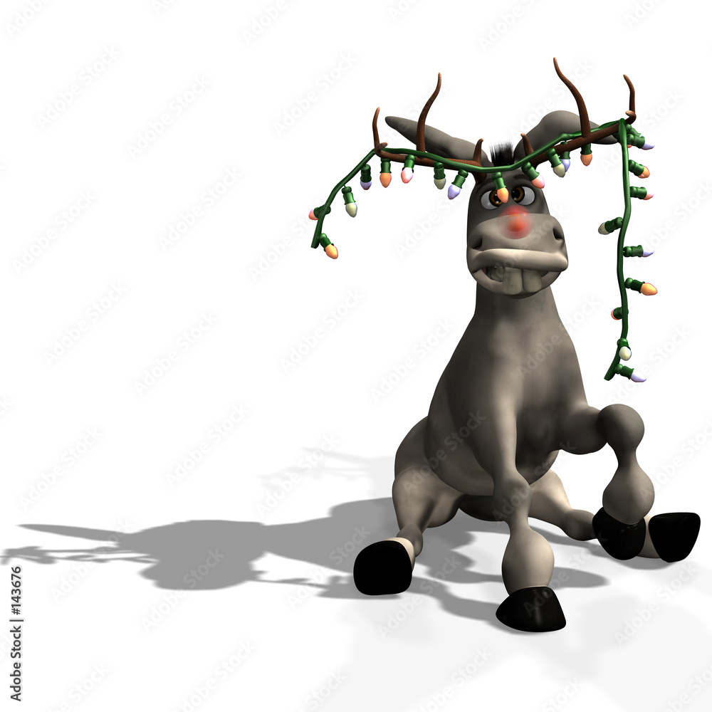 Fotografie christmas donkey