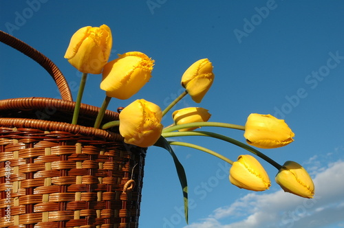 the basket with yellow tulips.