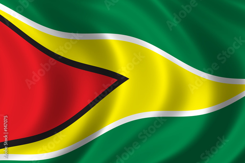 flag of guyana photo