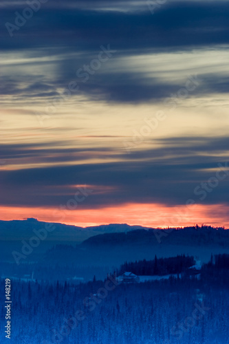 winter sunset with blurred horizon  vertical