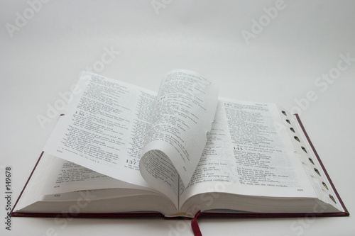 bible pages