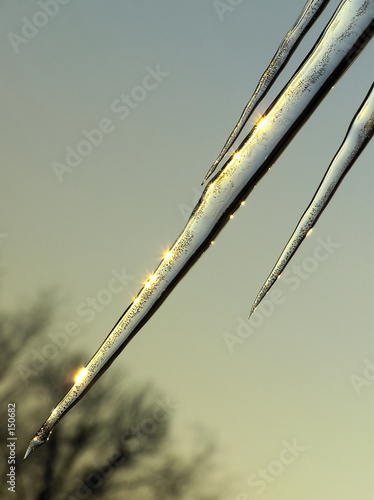 icicles