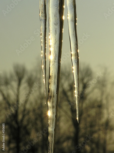 icicles
