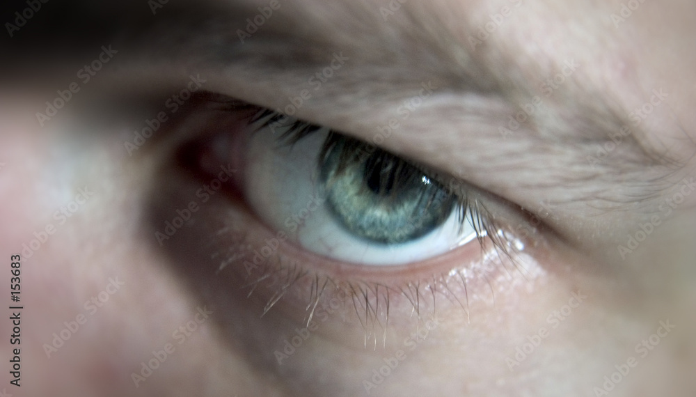 Obraz premium looking up