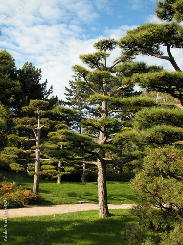 japanischer garten