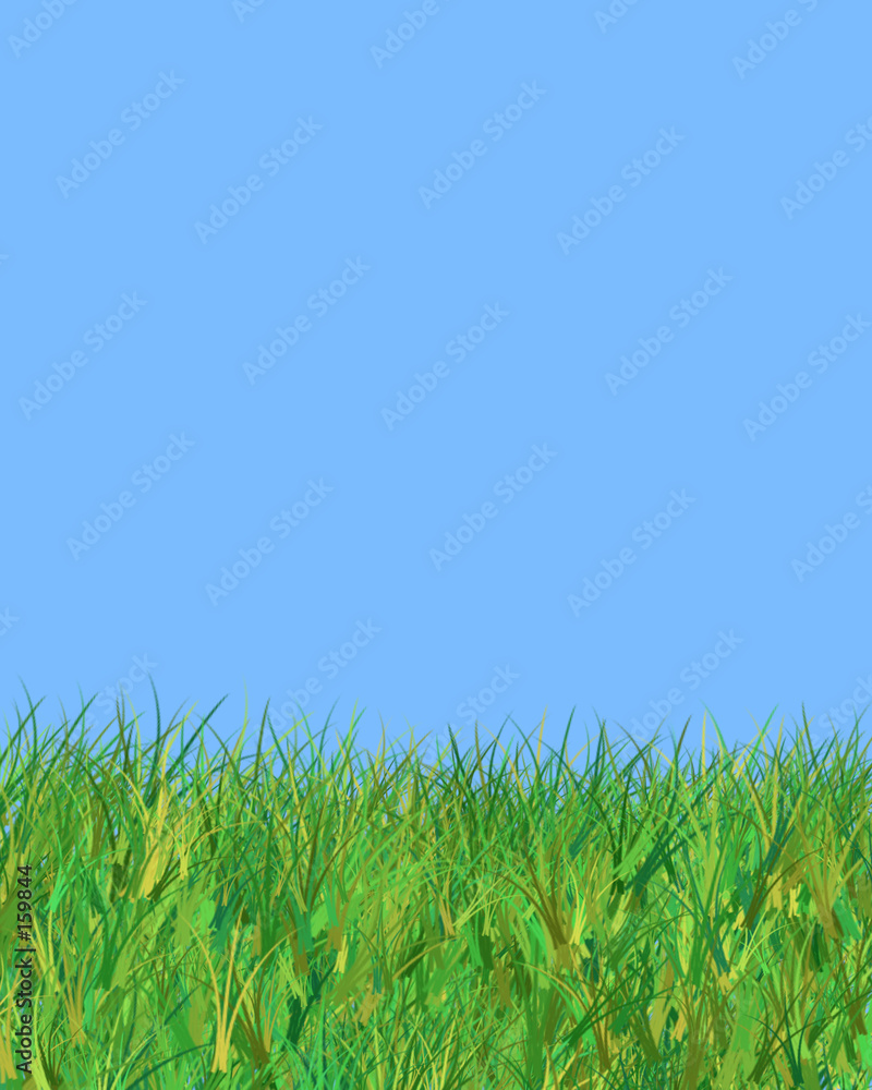 blue sky and grass illustration