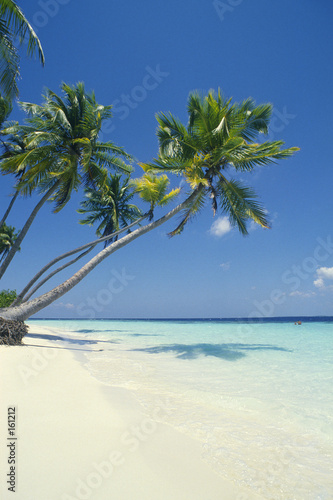 plage des maldives