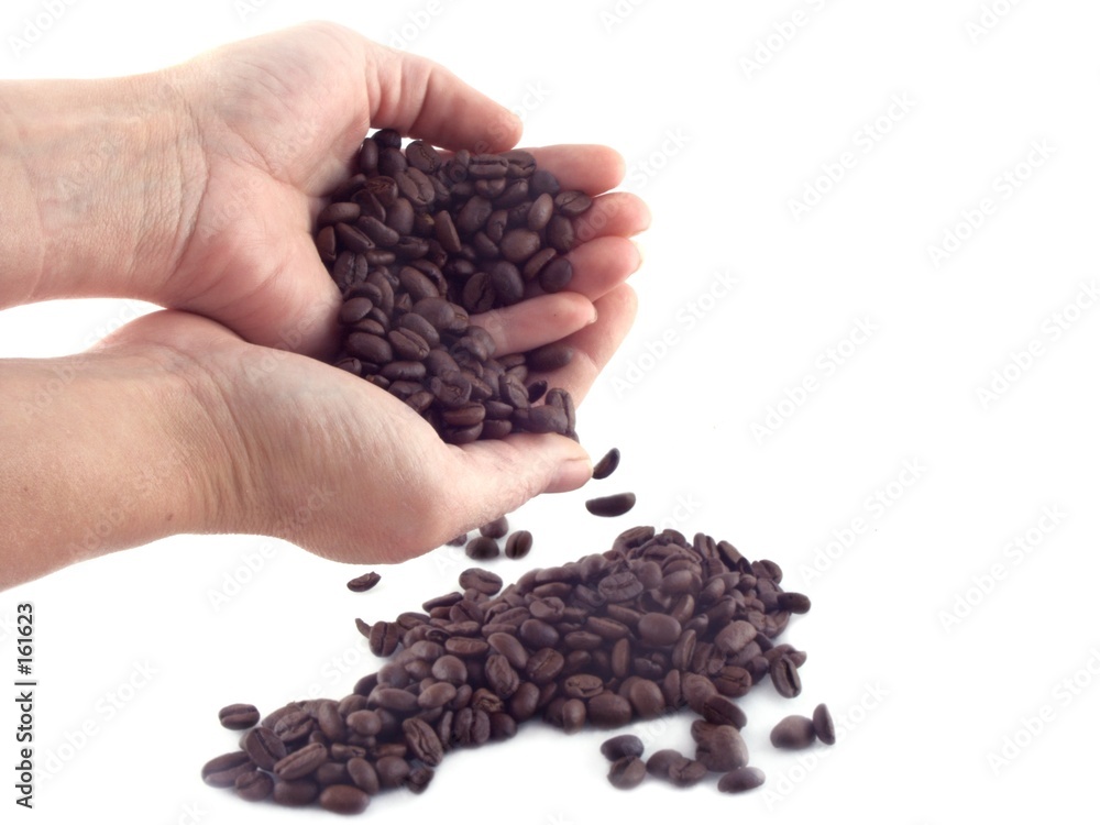 coffee beans 3 coffee beans 3