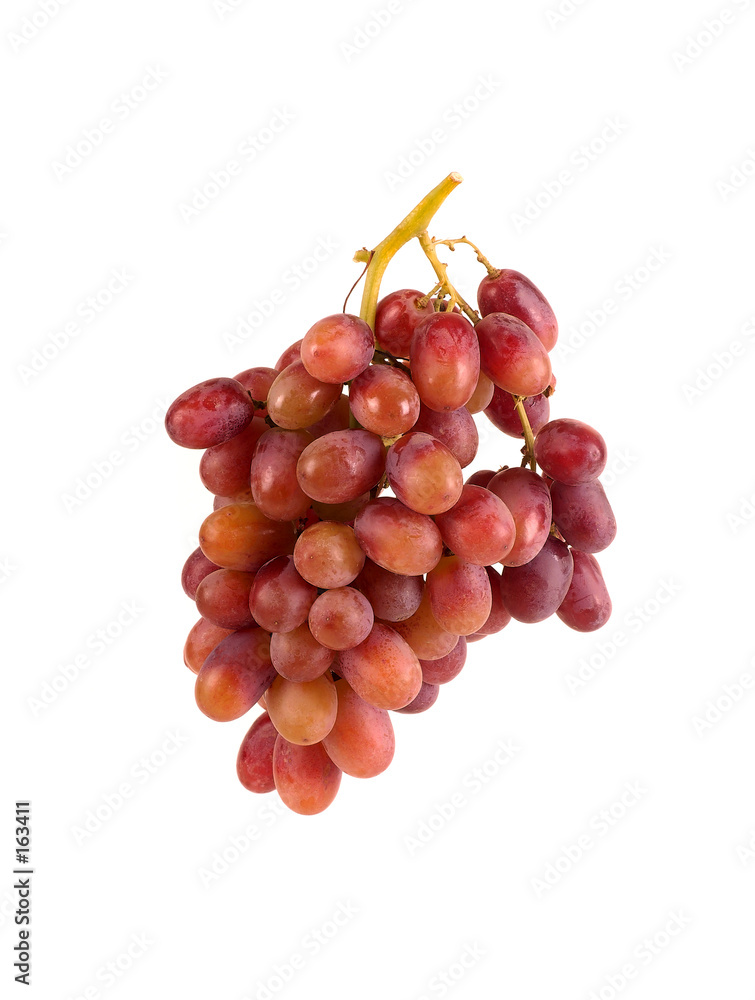 red organic grapes on the vine