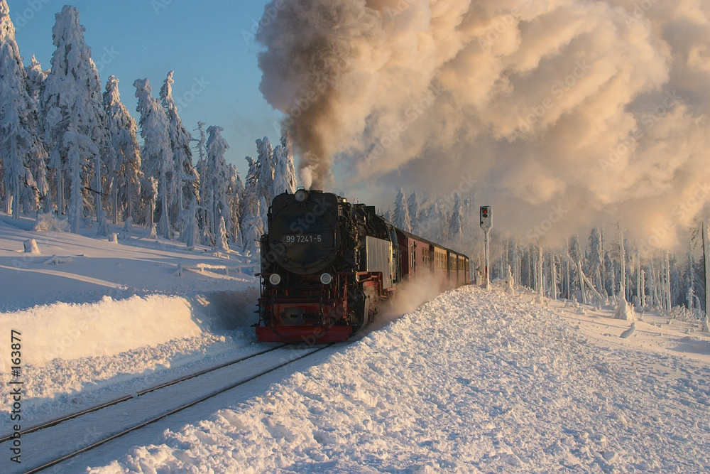 Fototapeta premium winter in brocken