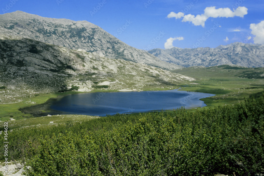 lac nino