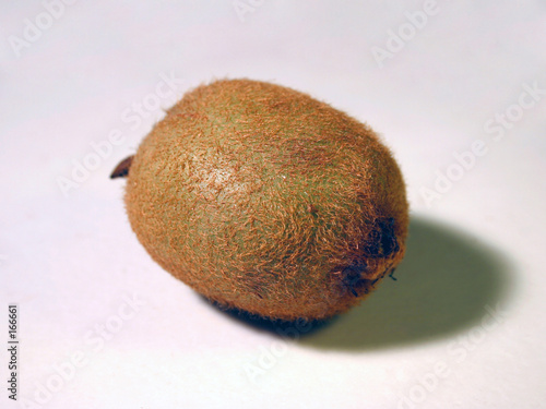 kiwi on white