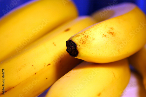 banana background 1