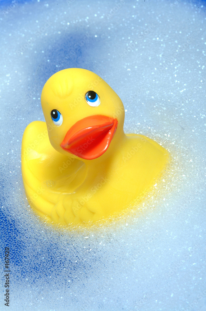 petit canard petit canard
