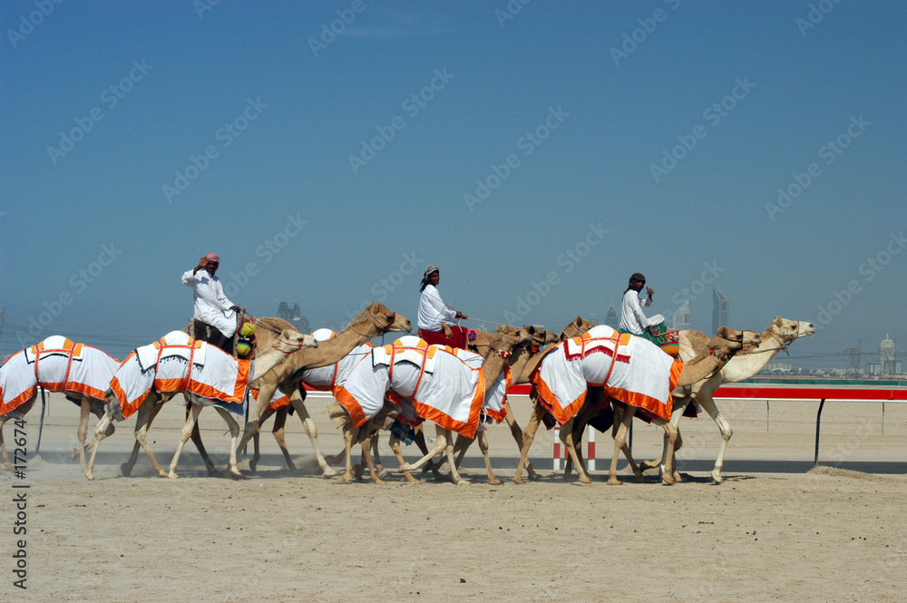 Fototapeta premium dubai