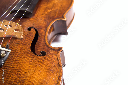 violin ribs