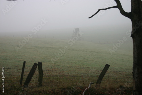 hochsitz im nebel photo