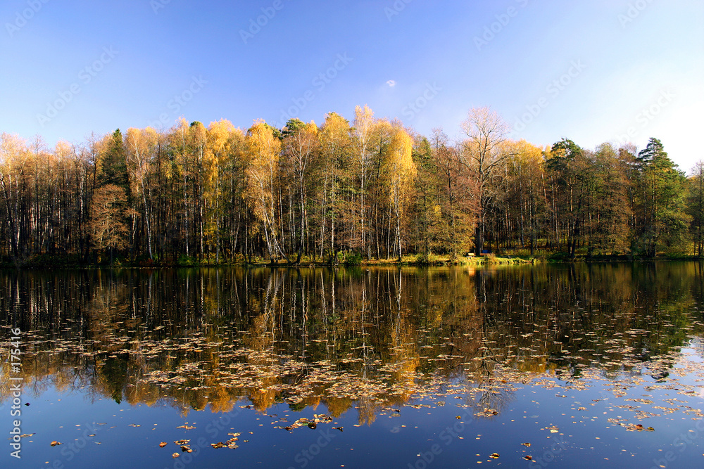 Fototapeta premium autumn landscape on the river.