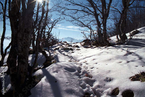 contre-jour sur neige photo
