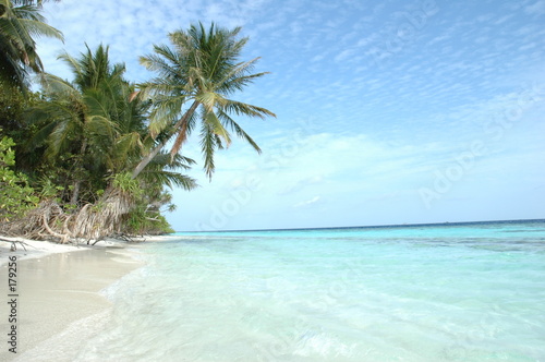 Fototapeta Naklejka Na Ścianę i Meble -  plage aux maldives