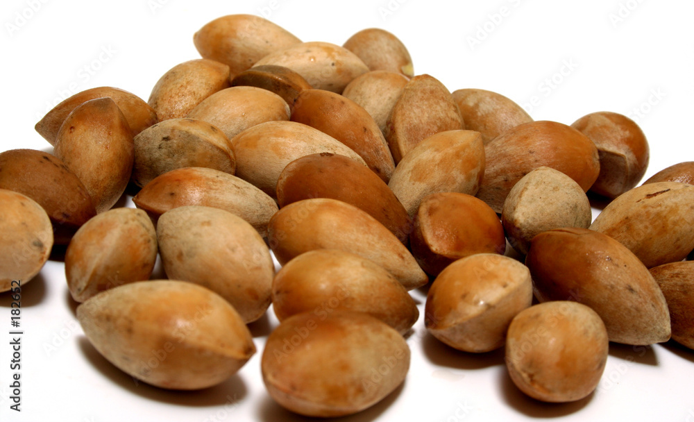 ginkgo nuts ginkgo nuts