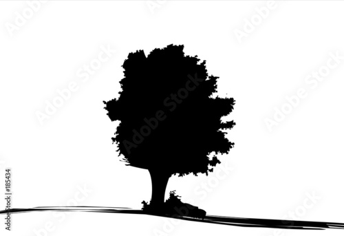 silhouette of tree