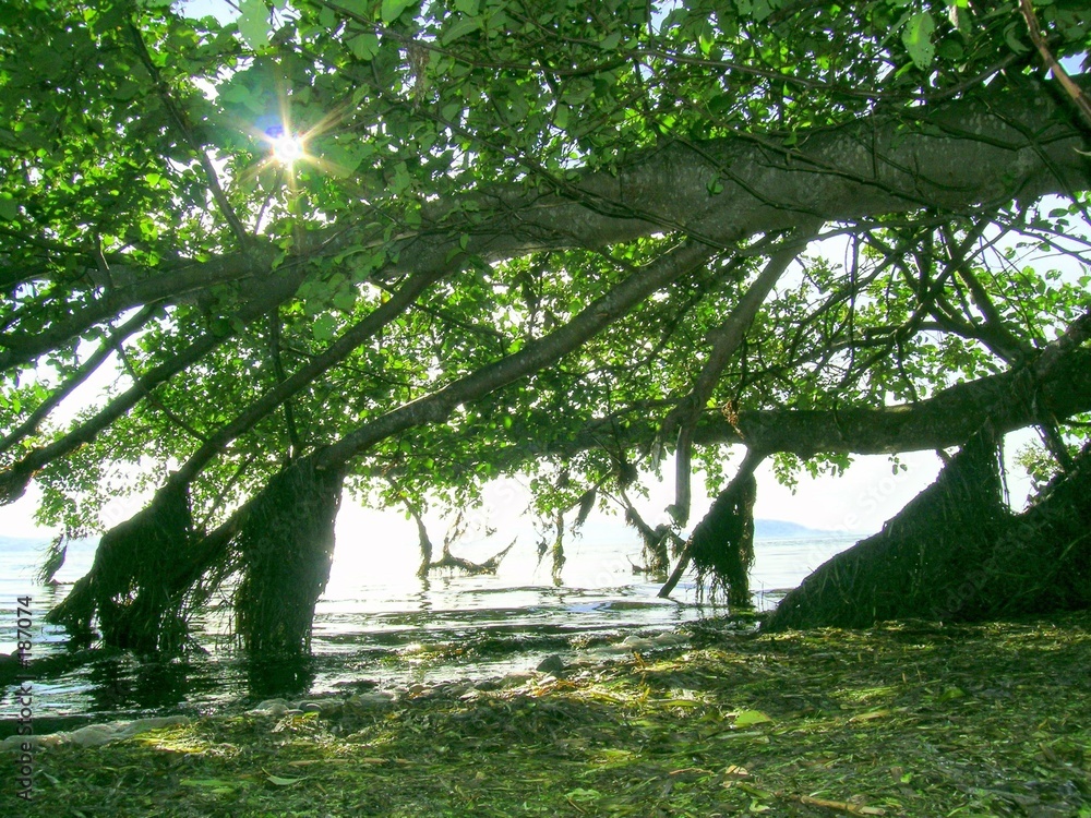 hidden beach