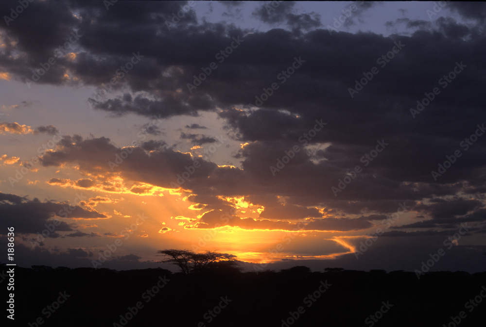 Obraz premium desert sunset