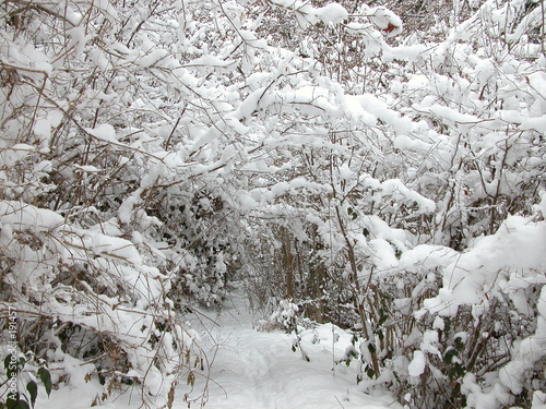 quand sa neige
