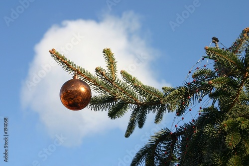 outdoor christmas tree