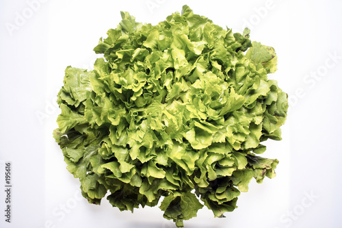 escarola