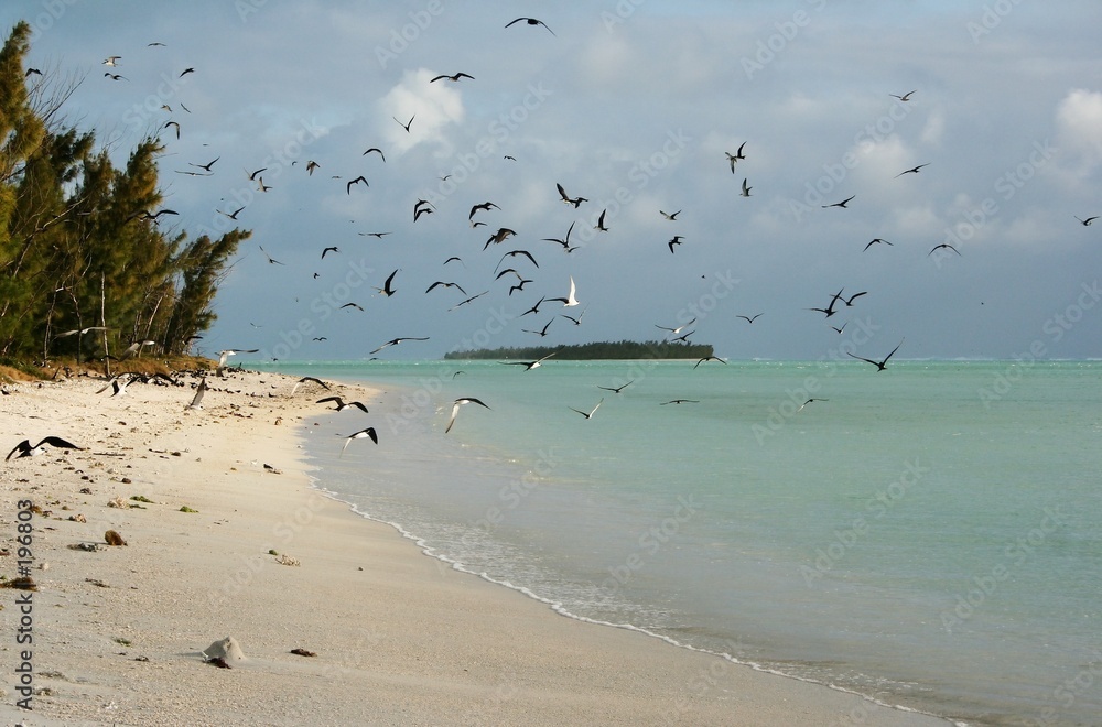 Fotografie rodrigues island #16