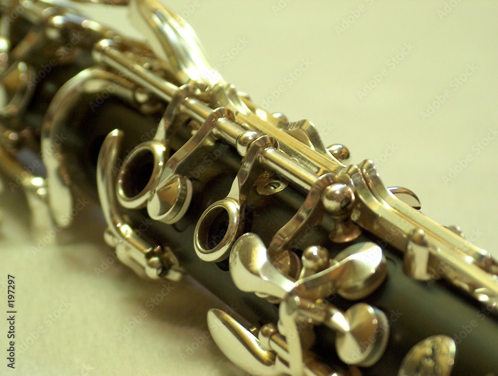 Obraz premium klarinette