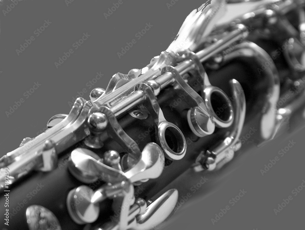 Obraz premium klarinette