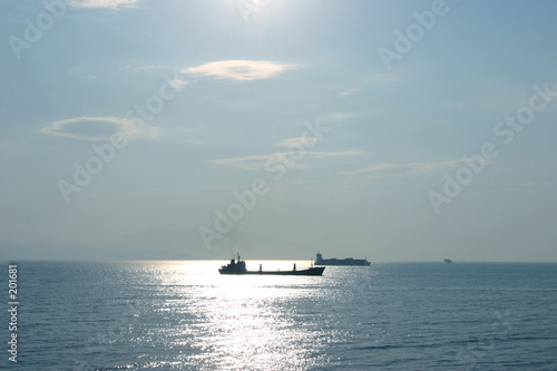 oil tanker and container carrier