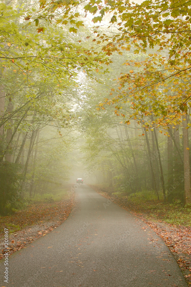 fall fog