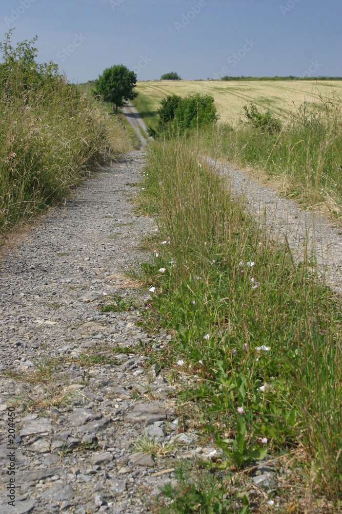 feldweg 1 feldweg 1