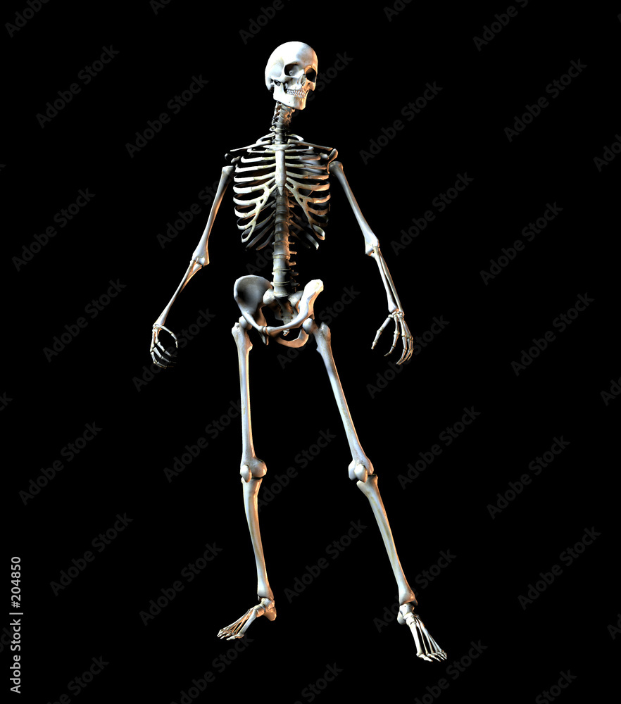 bone pose bone pose