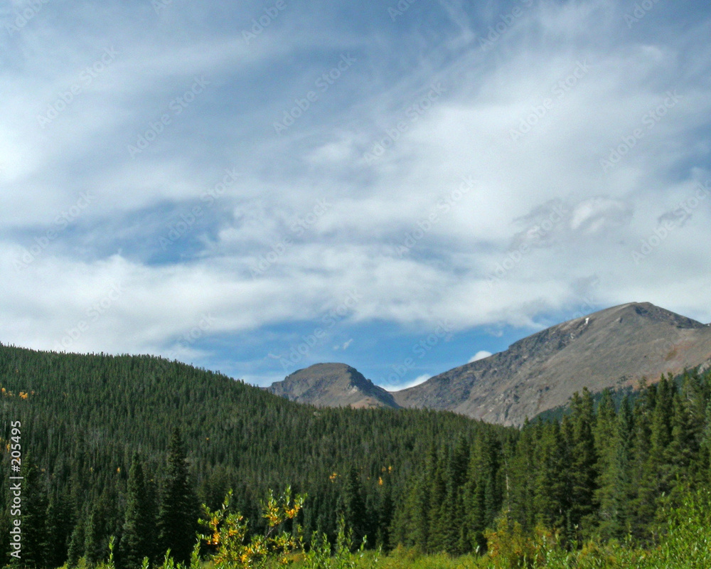 beaver ponds