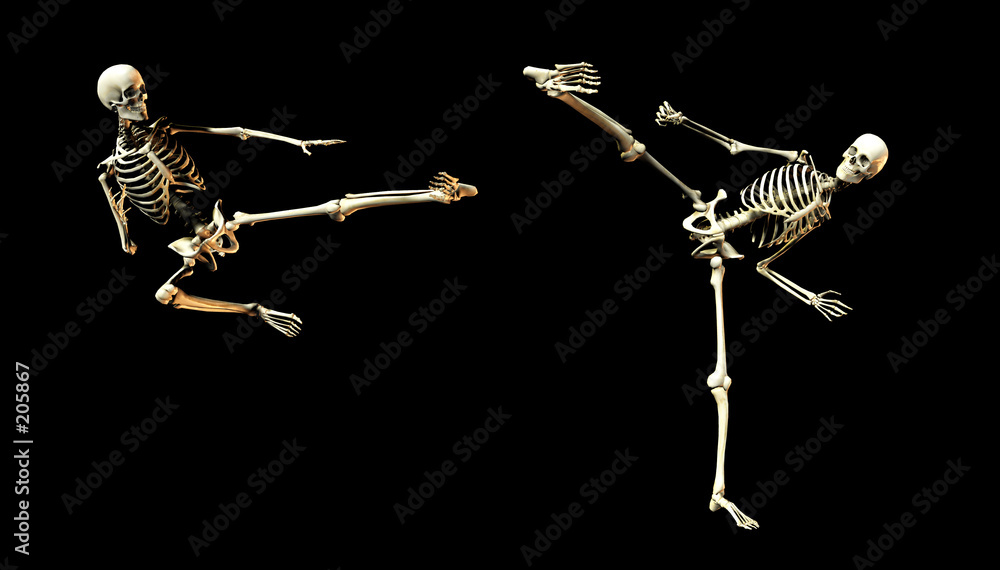 Obraz na plátně fighting bones