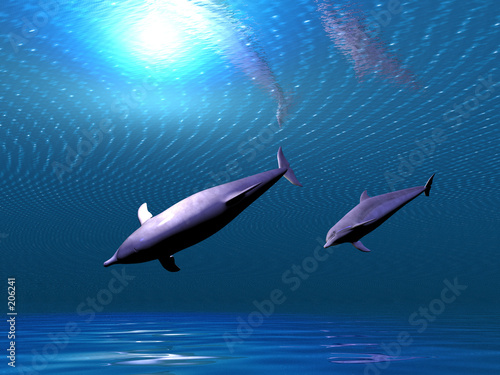 undersea dolphins photo
