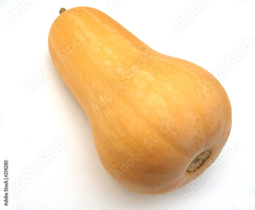 butternut